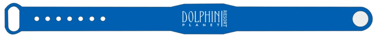Отель Dolphin Planet Hotel & SPA