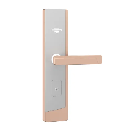 Электронный гостиничный замок Ozlocks HL-F52/H/TM фото 6