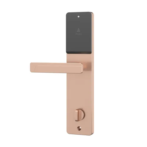 Электронный гостиничный замок Ozlocks HL-F52/H/MF  фото фото 7