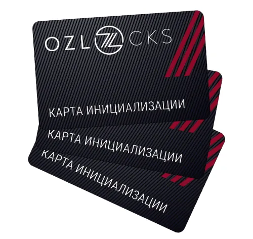Комплект карт инициализации "Индивидуальный премиум"