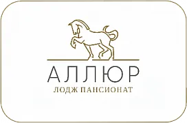Отель «АЛЛЮР»