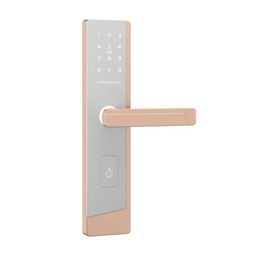 Электронный SMART-замок Ozlocks HL-F52/SM/MF фото 6