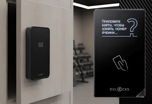 Мебельный электронный замок Ozlocks свободный выбор с инфотерминалом 13,56 MHz SL-F11/FS/MF/P