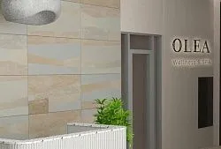 Спа-комплекс «Olea Wellness&SPA»