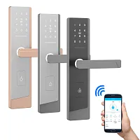 Электронный SMART-замок Ozlocks HL-F52/SM/MF