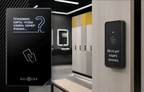 Мебельный электронный замок Ozlocks свободный выбор с инфотерминалом 13,56 MHz с антивандальным корпусом SL-F33/FS/MF/P