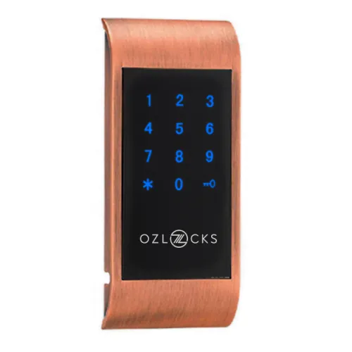 Электронный кодовый замок для шкафчика Ozlocks 125 kHz SL-F03/C/EM/P фото 5