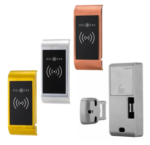 Мебельный электронный замок Ozlocks свободный выбор с инфотерминалом 13,56 MHz с антивандальным корпусом SL-F03/FS/MF/Wt
