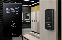 Мебельный электронный замок Ozlocks свободный выбор с инфотерминалом 13,56 MHz с антивандальным корпусом SL-F11/FS/MF/Wt