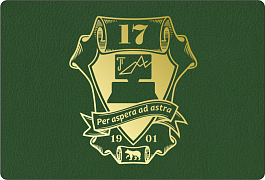 МАОУ «Гимназия №17»
